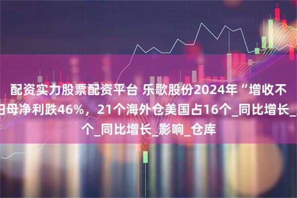 配资实力股票配资平台 乐歌股份2024年“增收不增利”：归母净利跌46%，21个海外仓美国占16个_同比增长_影响_仓库