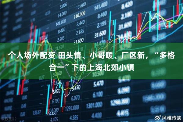 个人场外配资 田头情、小哥暖、厂区新，“多格合一”下的上海北郊小镇