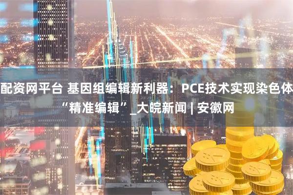 配资网平台 基因组编辑新利器：PCE技术实现染色体“精准编辑”_大皖新闻 | 安徽网