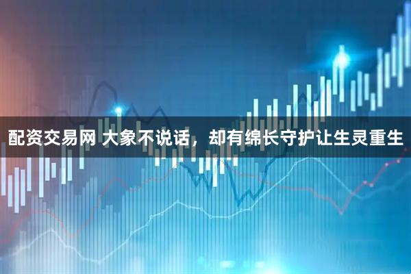 配资交易网 大象不说话，却有绵长守护让生灵重生
