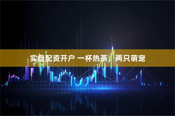 实盘配资开户 一杯热茶，两只萌宠