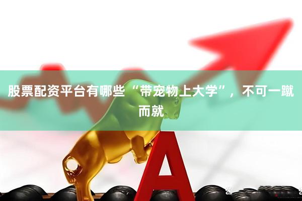 股票配资平台有哪些 “带宠物上大学”，不可一蹴而就