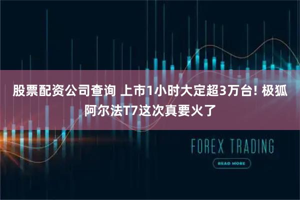 股票配资公司查询 上市1小时大定超3万台! 极狐阿尔法T7这次真要火了