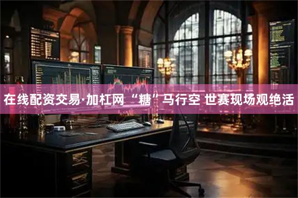 在线配资交易·加杠网 “糖”马行空 世赛现场观绝活